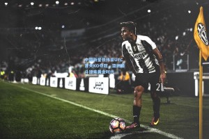 中国新星张伟豪UFC首秀KO夺冠，亚洲格斗迎来黄金时代