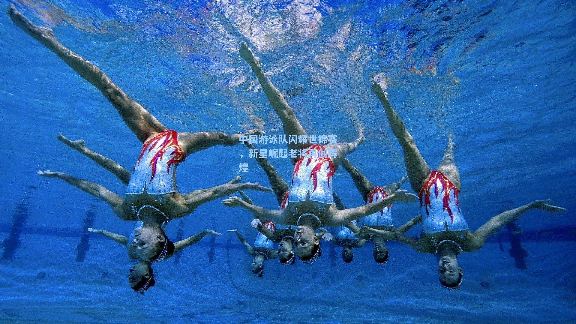 中国游泳队闪耀世锦赛,新星崛起老将再创辉煌